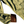 Load image into Gallery viewer, Woodsy Button Down